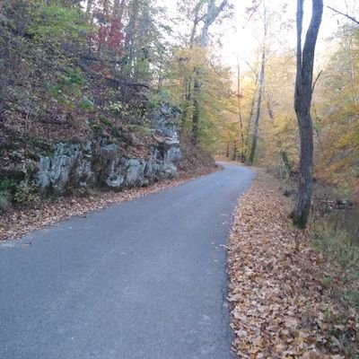 Profile Picture of David Leland (@DavidLeland20) on Twitter