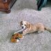 Profile Picture of Marilyn Kroll (@Marilyn-Kroll) on Facebook