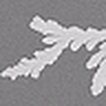 Profile Picture of Michael Kozicki (@redion) on Flickr