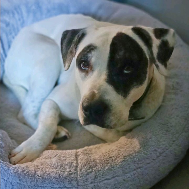 Profile Picture of Yesenia Barboza (@yesenia.barboza27) on Tiktok