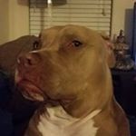 Profile Picture of Eric Hubbert (@erichubbert) on Instagram