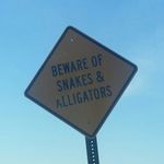 lauren.wilder_photography - Instagram Profile Picture of lauren.wilder_photography (@lauren.wilder_photography) on Instagram