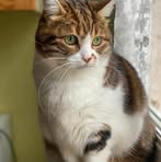 Profile Picture of Catherine MartinCocher (@Catherine-Martin-Cocher) on Facebook