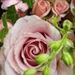 Profile Picture of Tobias och Cecilia (@tobiasochcecilia) on Pinterest