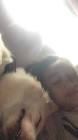 Profile Picture of   THL (@wonderthal) TikTok |... (@wonderthal) on Tiktok
