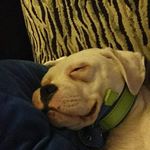 Profile Picture of Autumn Richards (@dabear2001) on Instagram