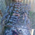 Profile Picture of Josephine Cultong Dangwil (@kiray_kiraya) on Instagram