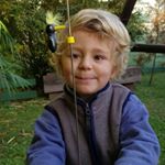 Profile Picture of Benjamin (@benjamin.finegold) on Instagram