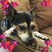 Profile Picture of Vicki Thalheimer (@vicki.thalheimer) on Facebook