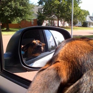 Profile Picture of Celeste Powers (@gregceleste) on Myspace