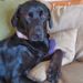 Profile Picture of Jennifer Zweig (@jenniferz1607) on Pinterest