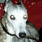 Profile Picture of Daniel Button (@ARWENPUPPY) on Youtube