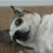 Profile Picture of Reuben Alvarez (@reubenalvarez6016) on Youtube