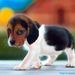 Profile Picture of Deborah Hinkle (@jfhinkle) on Pinterest
