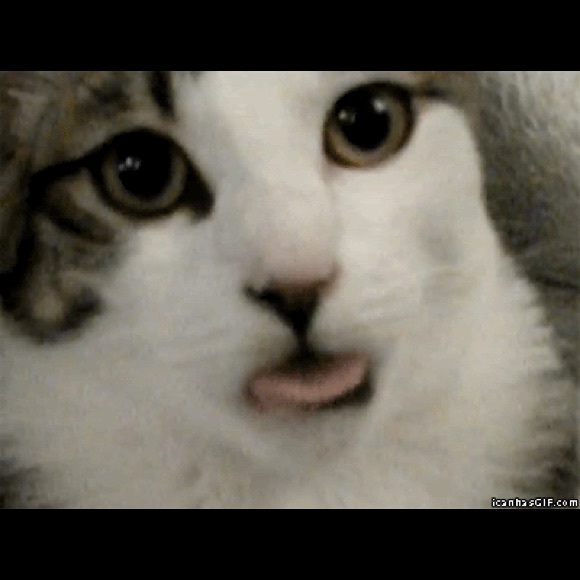 Profile Picture of Brian Juarez (@bob070) on Poshmark