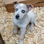 James Lindemood - Facebook Profile Picture of James Lindemood (@james.lindemood) on Facebook