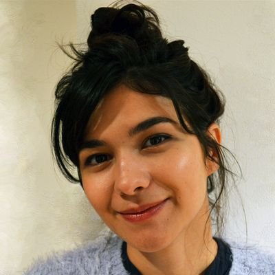 Profile Picture of Irina Preda (@IrinaPreda) on Twitter