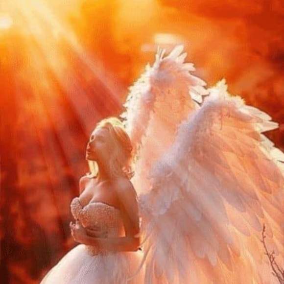 Profile Picture of Namaste Namaste (@namaste_n) on Poshmark