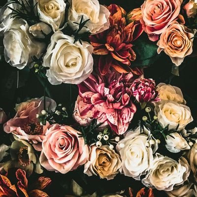 Profile Picture of Cassidy Judd (@cassidy_judd) on Twitter