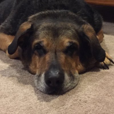 Profile Picture of Mike Cunningham (@_mikecunningham) on Twitter