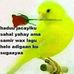 Profile Picture of Amal Othman Abdi (@Amal-Othman-Abdi) on Facebook
