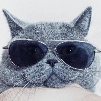 Profile Picture of David James Cormack (@djcfineart) on Twitter