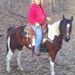 Profile Picture of Pamela Giesen Clauer (@rcbed) on Pinterest