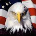 Profile Picture of Sean Crouthamel (@nrte1969) on Pinterest