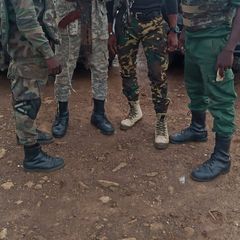 Profile Picture of adamspetterson (@adamspetterson) on Tiktok