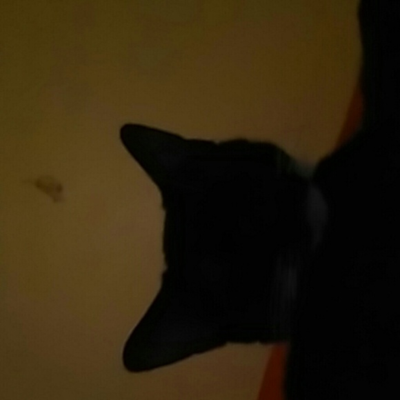 Profile Picture of Ann Braida (@annbraida) on Poshmark