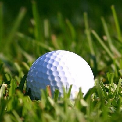 Profile Picture of Paul Marshalek (@marcm94) on Twitter