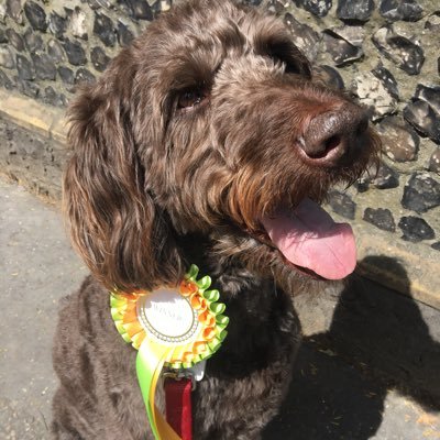 Profile Picture of James Hogan (@jameshogan_me) on Twitter