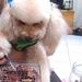 Profile Picture of Randy Yeh (@randy4754) on Pinterest