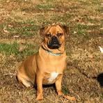 Profile Picture of Gary Westerfield (@gary.westerfield) on Facebook