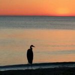 Profile Picture of Debbie Scherer Nichols (@debbie.nichols.796) on Instagram
