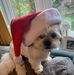 Profile Picture of Lynne Bright (@lynne.bright.50) on Facebook