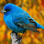 Profile Picture of Mrisho Omary (@mrisho_lg_abeid) on Flickr