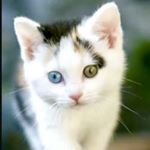 Profile Picture of Rakesh Bhalla (@rakesh.bhalla.9461) on Instagram