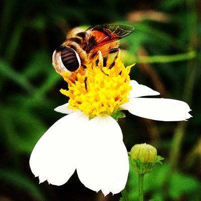 Profile Picture of Roberta Harvey (@quickstepdee21) on Twitter