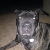 Profile Picture of David Nigel Paux (@david-nigel-paux) on Quora