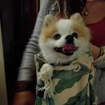 Profile Picture of Kenneth Donahue (@edisonsinthewild) on Instagram