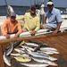 Profile Picture of Hunter Skipper (@hs02815) on Pinterest