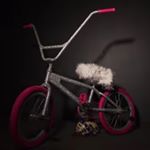 Profile Picture of Фомин (@mark_channel754) on Instagram