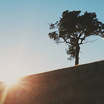 Profile Picture of Mohammad Rezai (@mohammadrezai15) on Flickr