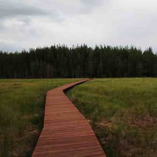 Profile Picture of Matthew Davenport (@matthewdavenport) on Instagram