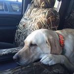 Profile Picture of Chris Whitebread (@whitbread4life) on Instagram