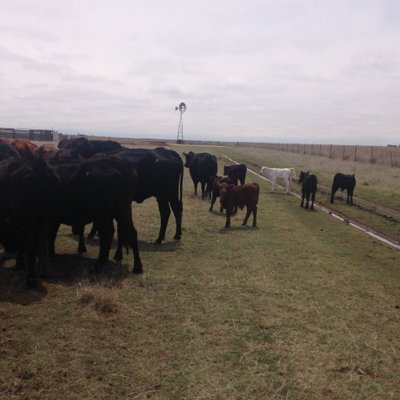 Profile Picture of Jeff Porter (@SilagePusher) on Twitter