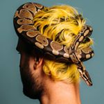 Profile Picture of Bailey 'Frank' Franklin (@frankandhiscamera) on Instagram