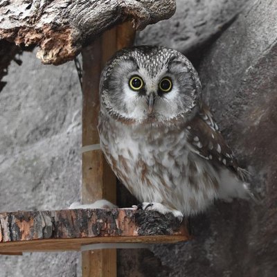 Profile Picture of Awilda Ramirez (@awildar07360537) on Twitter