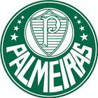 Profile Picture of   Quem não conhece o MC devin... (@palmeiraofical) on Tiktok